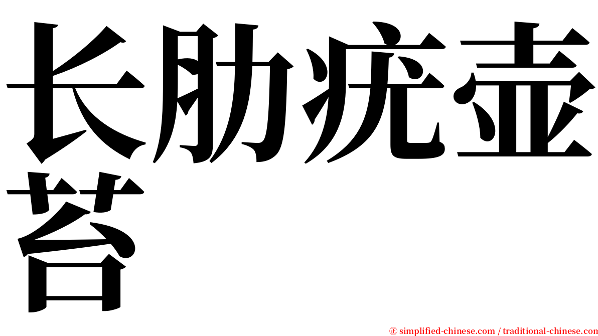 长肋疣壶苔 serif font