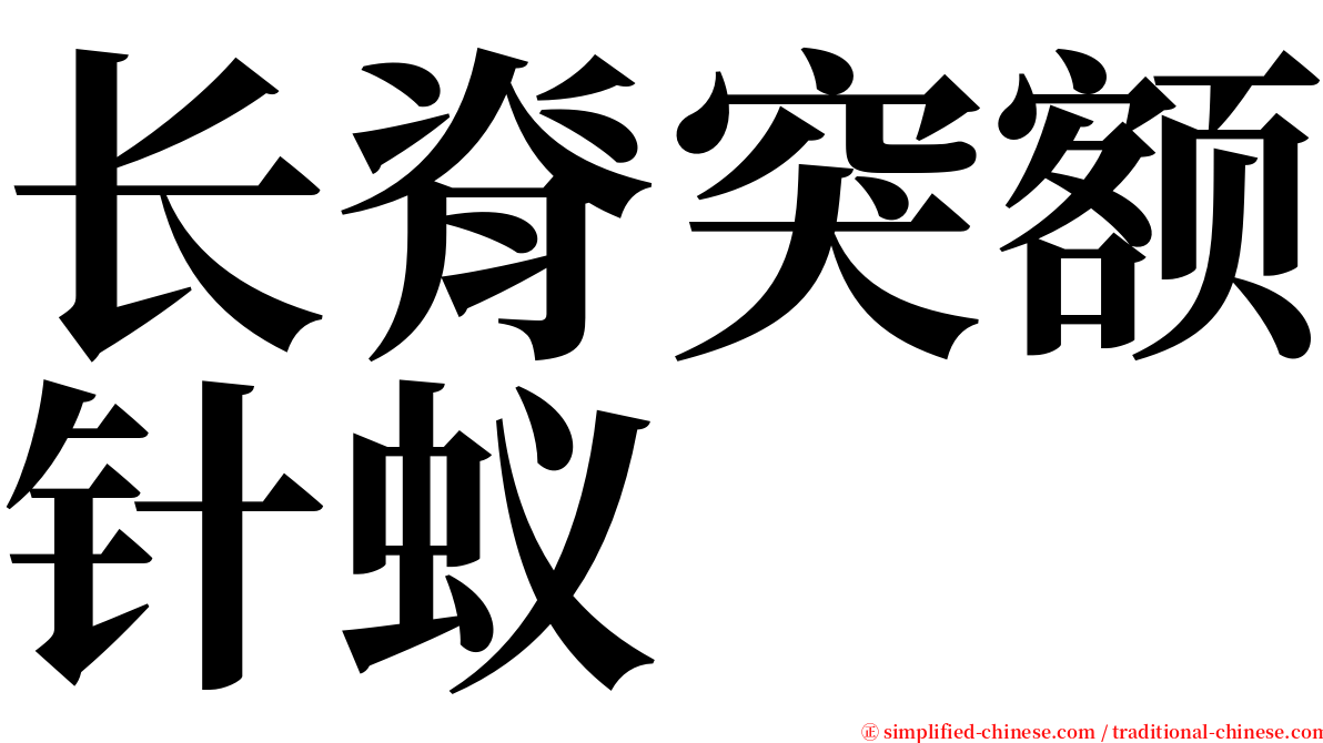 长脊突额针蚁 serif font