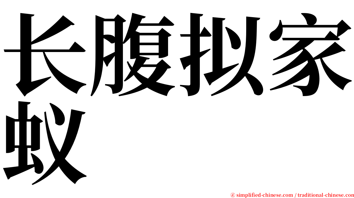 长腹拟家蚁 serif font