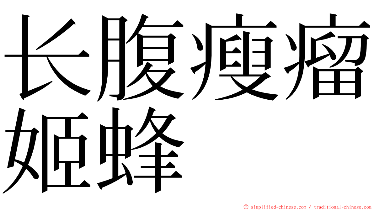 长腹瘦瘤姬蜂 ming font