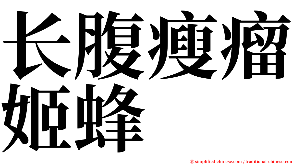 长腹瘦瘤姬蜂 serif font