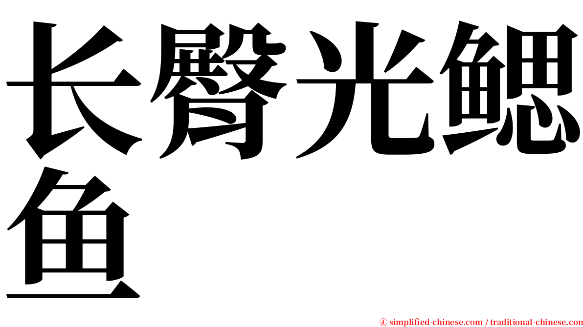 长臀光鳃鱼 serif font