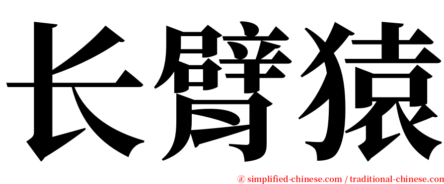 长臂猿 serif font