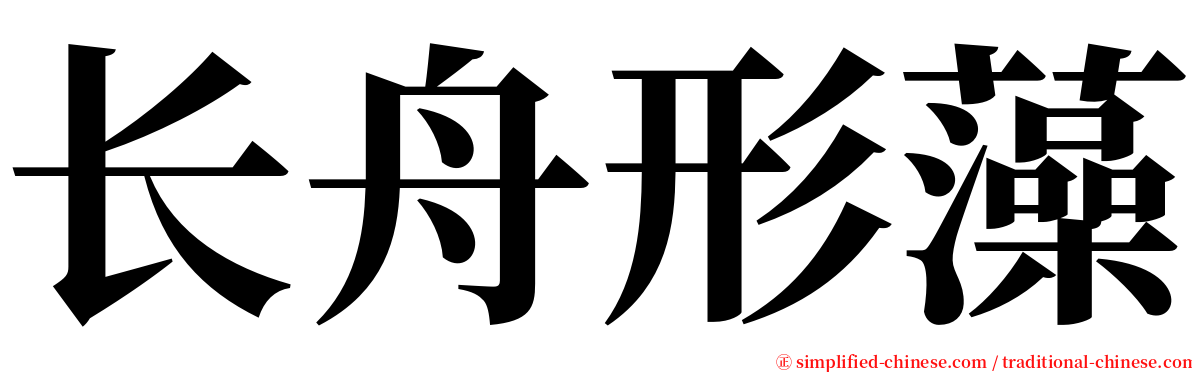 长舟形藻 serif font