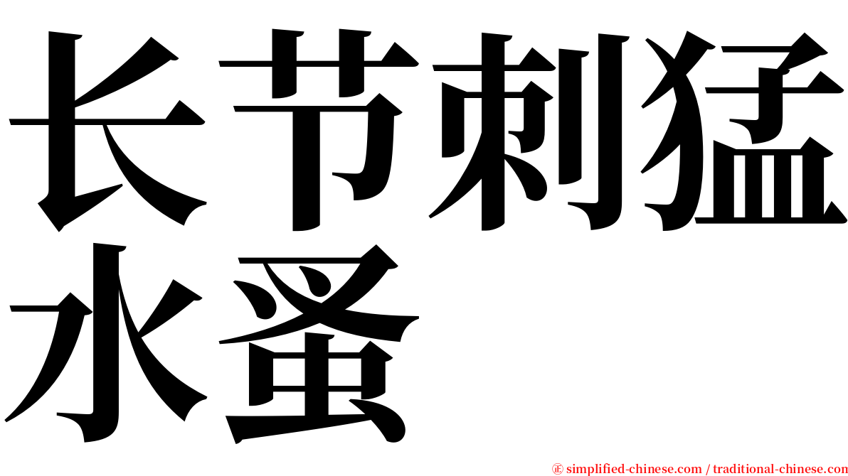 长节刺猛水蚤 serif font