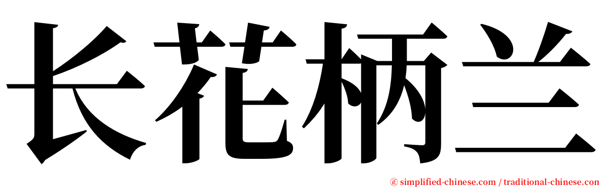 长花柄兰 serif font