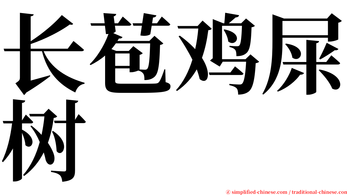 长苞鸡屎树 serif font