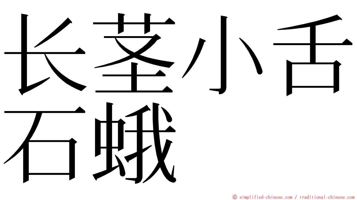 长茎小舌石蛾 ming font