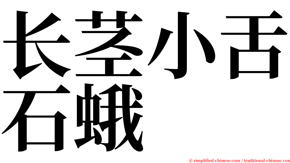 长茎小舌石蛾 serif font