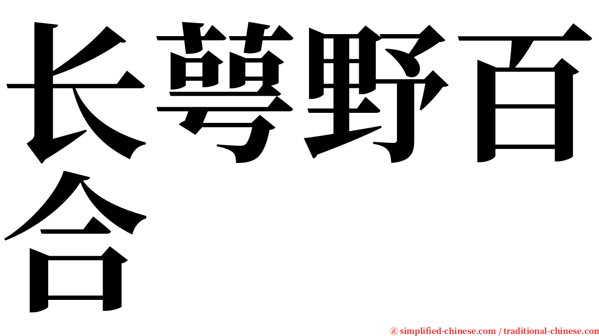 长萼野百合 serif font