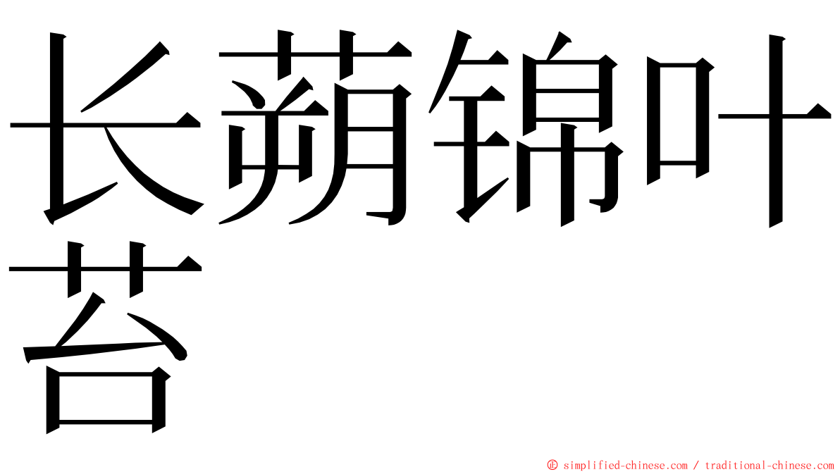 长蒴锦叶苔 ming font