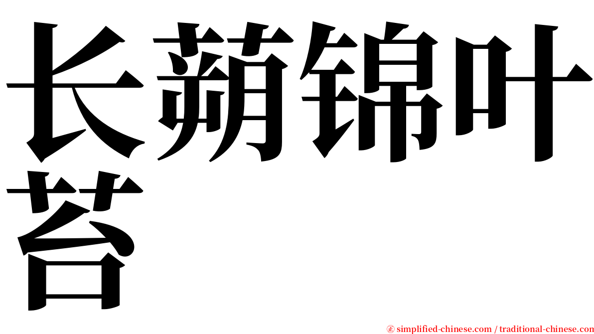 长蒴锦叶苔 serif font