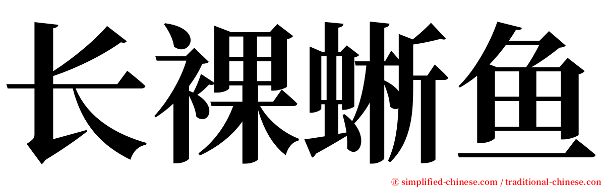 长裸蜥鱼 serif font