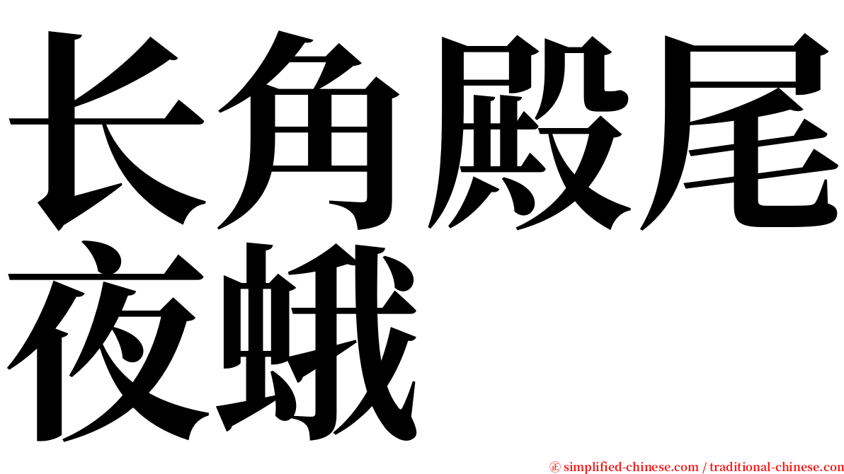 长角殿尾夜蛾 serif font