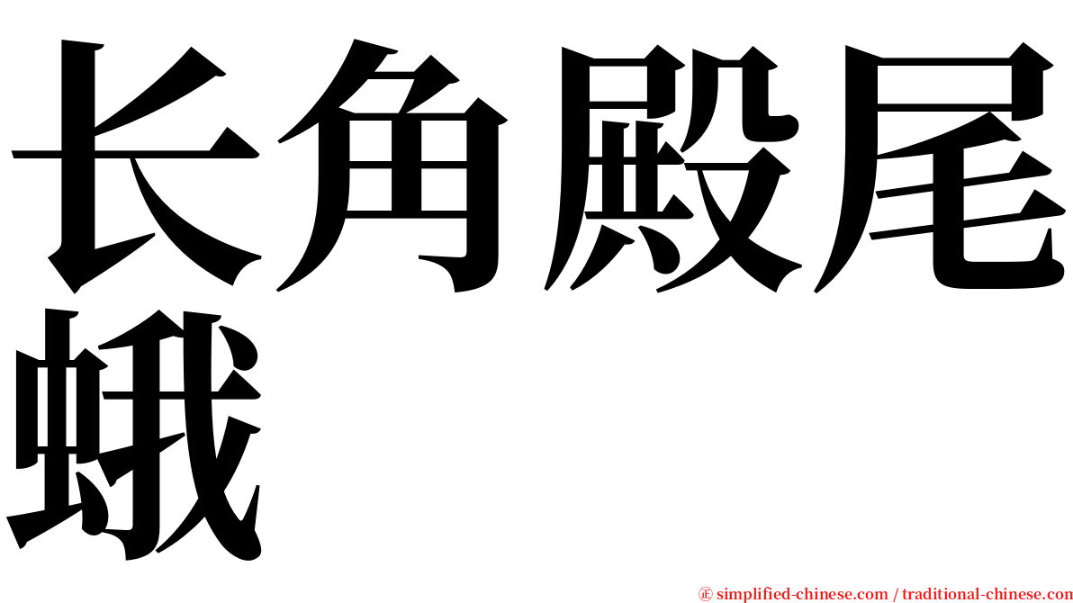 长角殿尾蛾 serif font