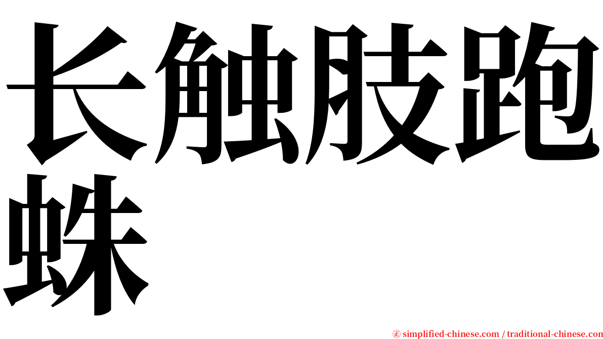 长触肢跑蛛 serif font