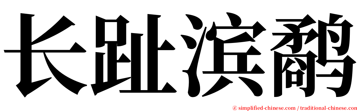 长趾滨鹬 serif font