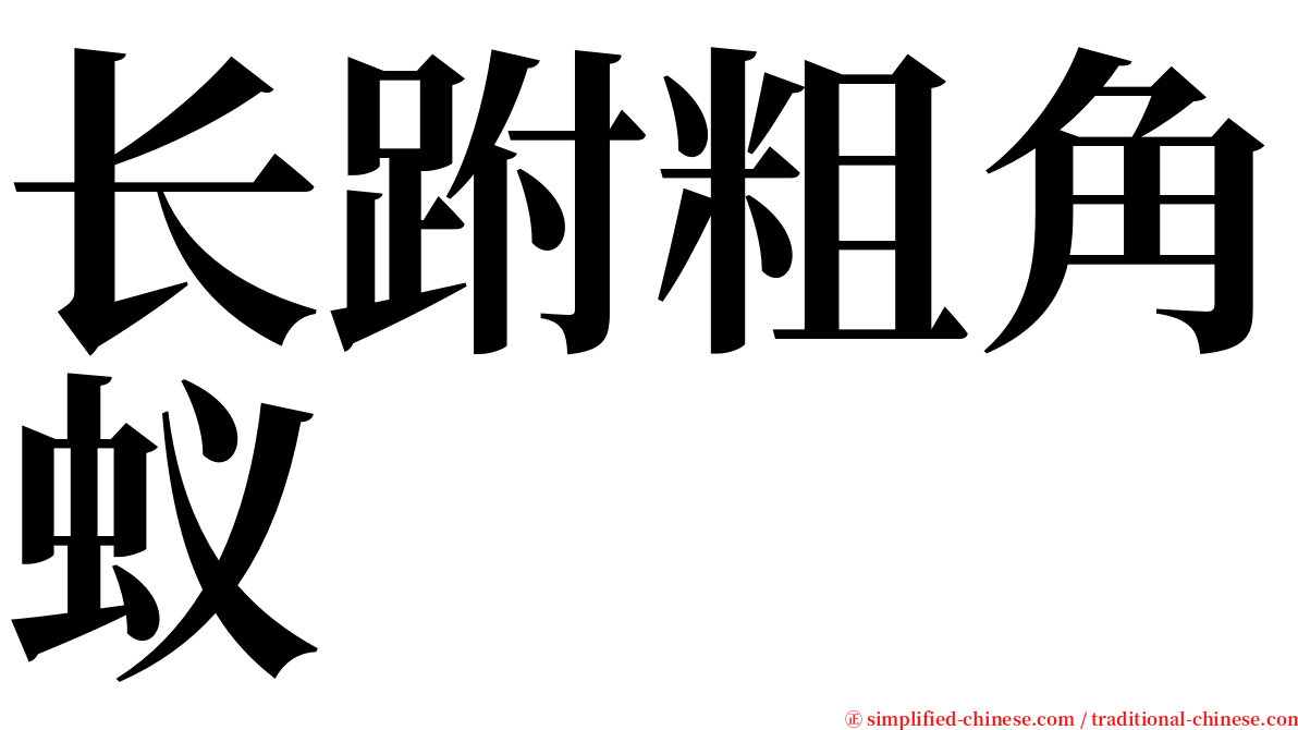 长跗粗角蚁 serif font