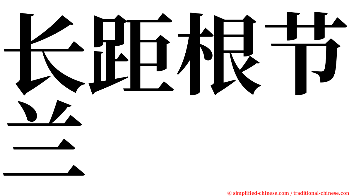 长距根节兰 serif font