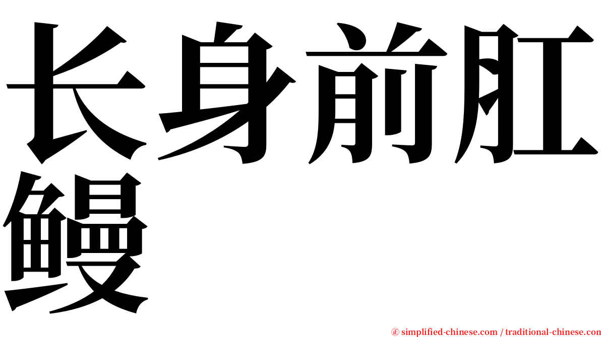 长身前肛鳗 serif font