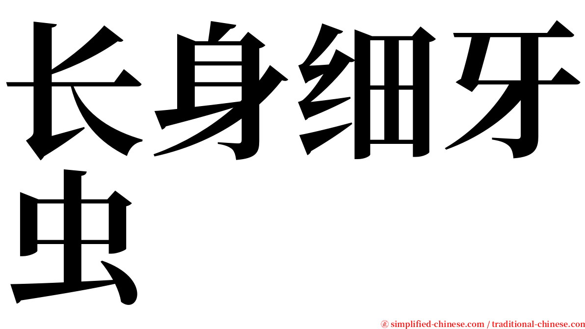 长身细牙虫 serif font