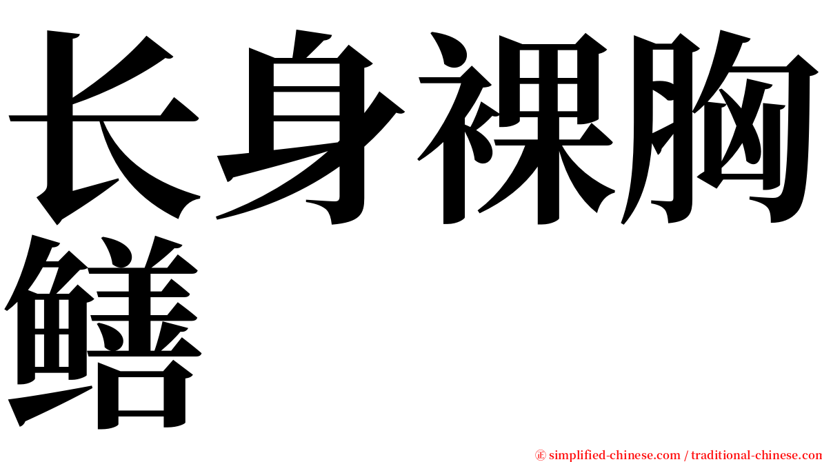 长身裸胸鳝 serif font