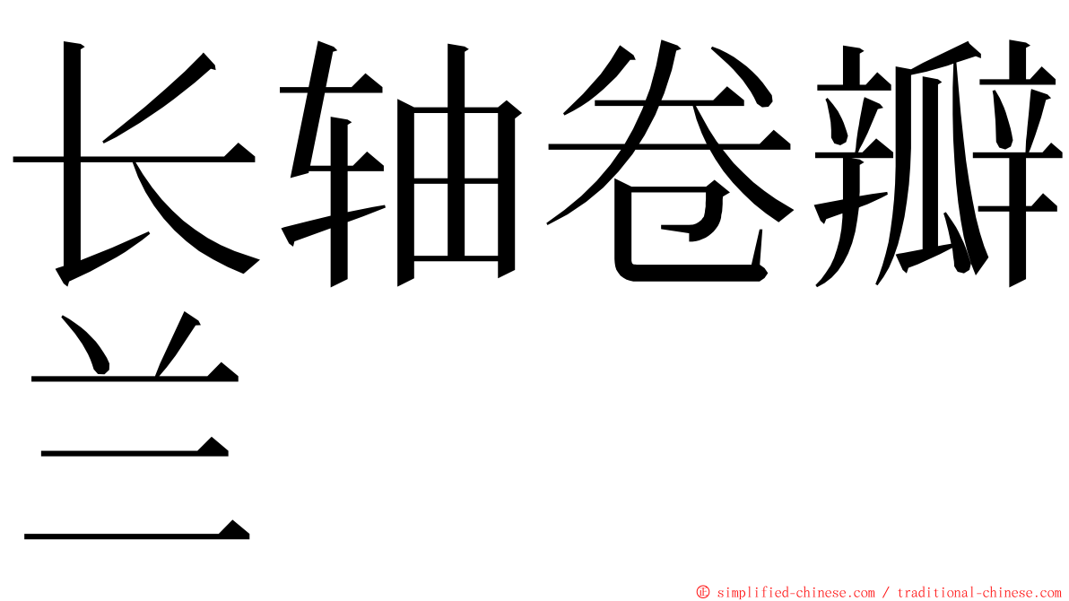 长轴卷瓣兰 ming font