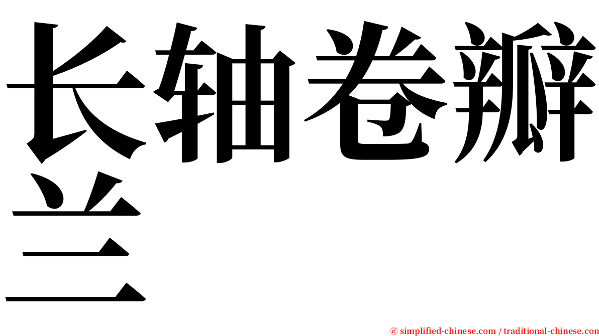 长轴卷瓣兰 serif font