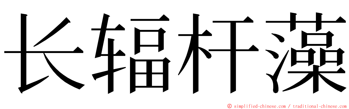 长辐杆藻 ming font