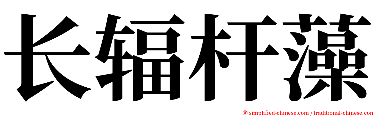 长辐杆藻 serif font