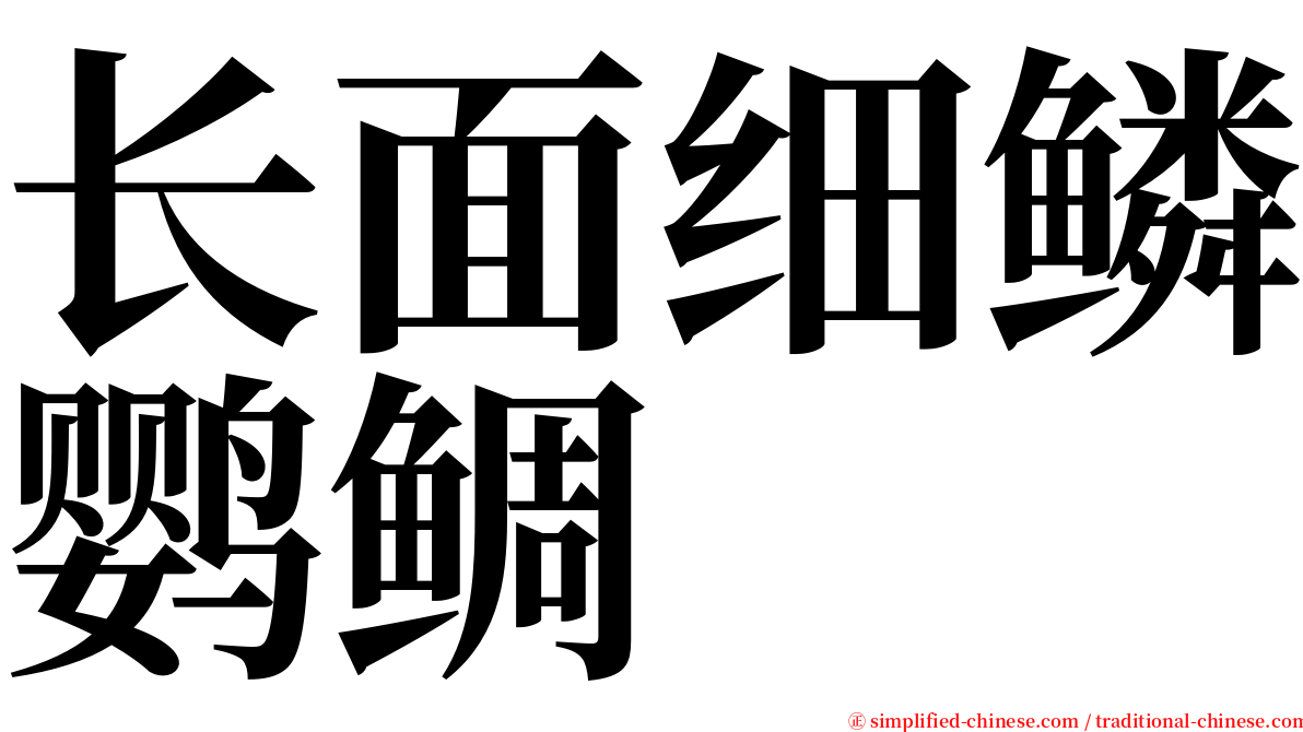 长面细鳞鹦鲷 serif font