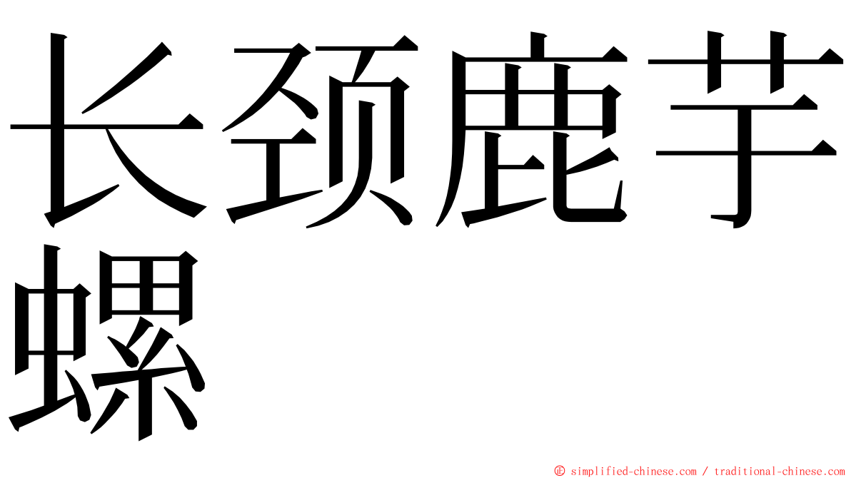 长颈鹿芋螺 ming font