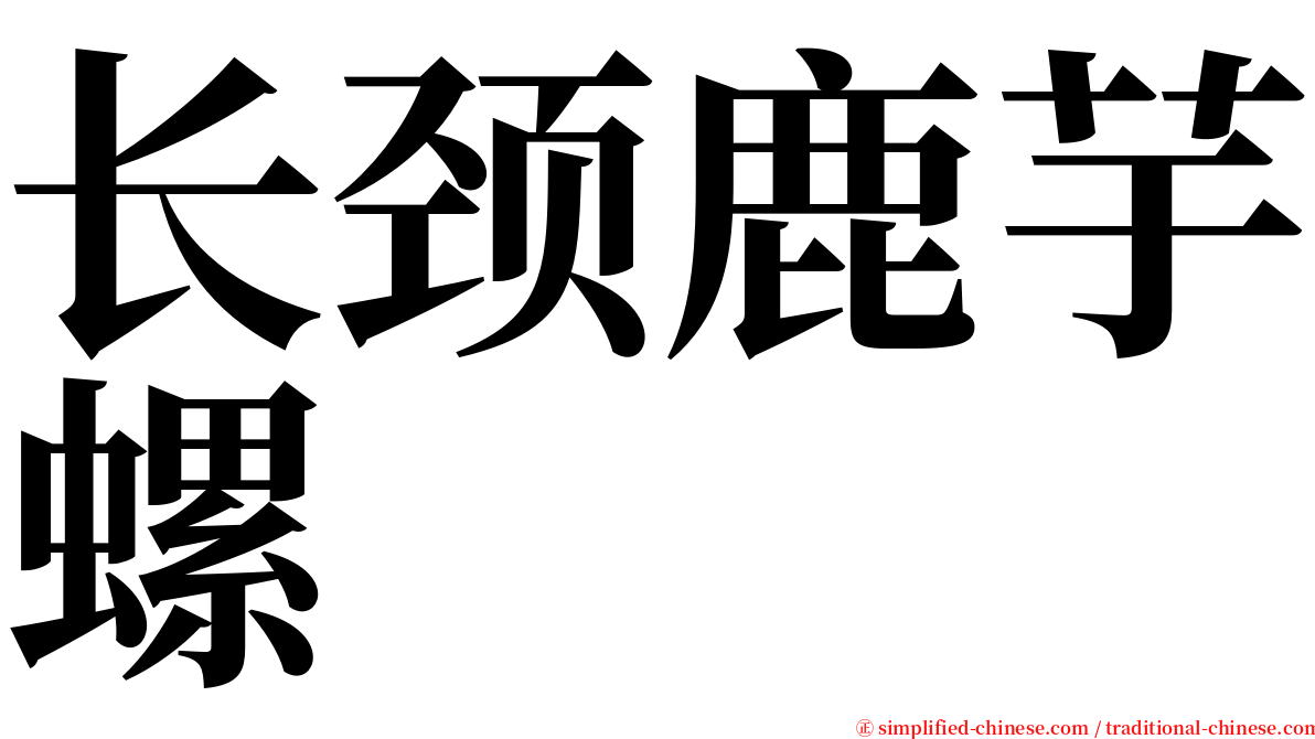 长颈鹿芋螺 serif font