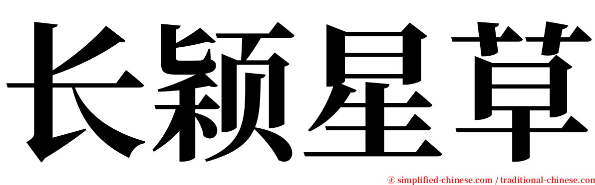 长颖星草 serif font