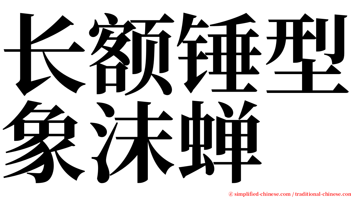 长额锤型象沫蝉 serif font