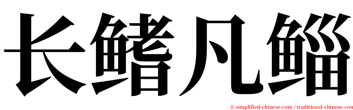 长鳍凡鲻 serif font