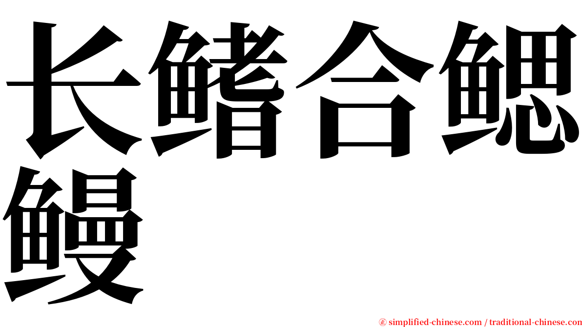 长鳍合鳃鳗 serif font