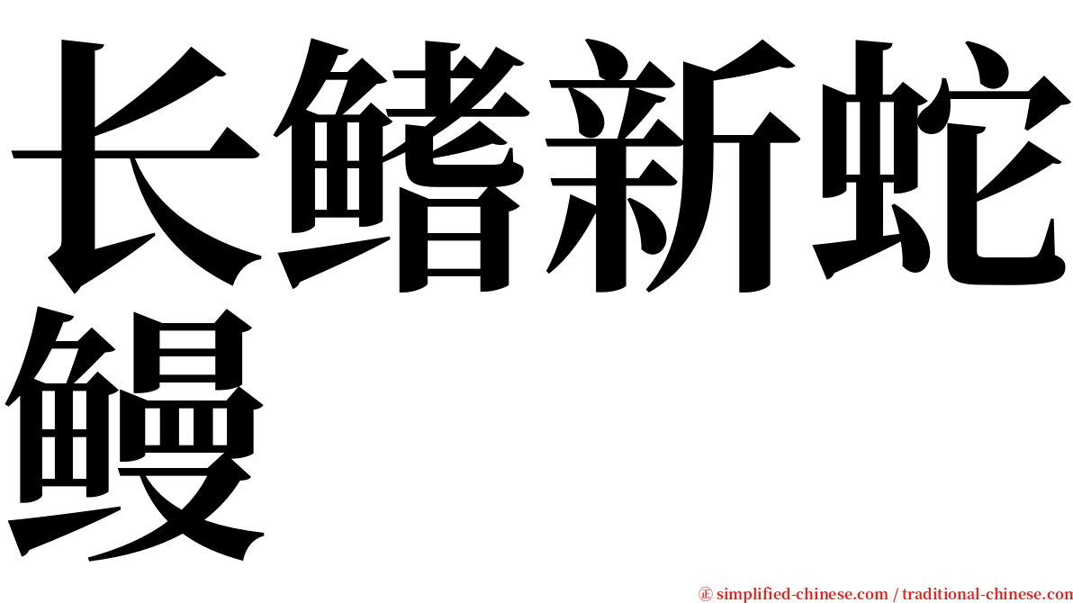 长鳍新蛇鳗 serif font