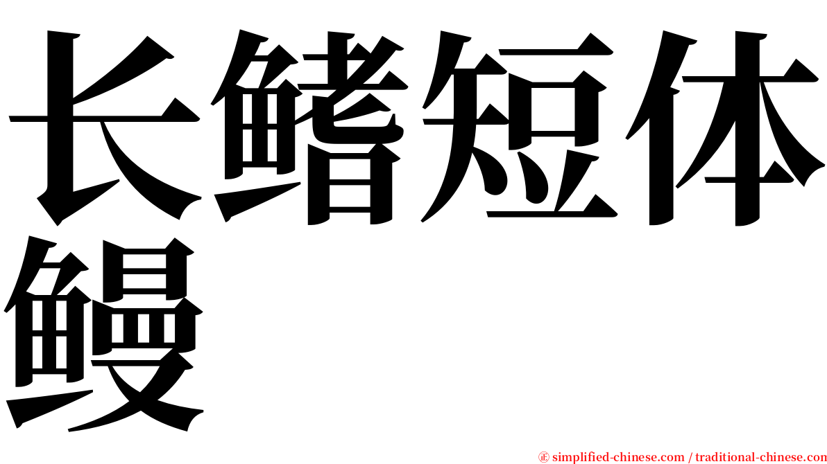 长鳍短体鳗 serif font