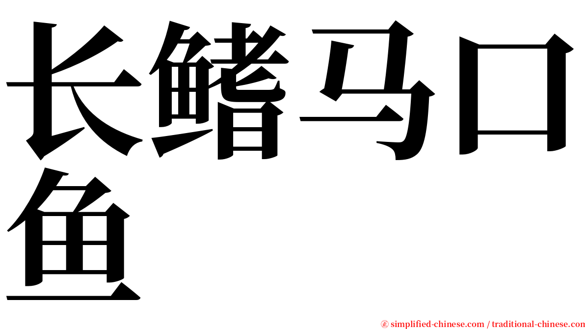 长鳍马口鱼 serif font