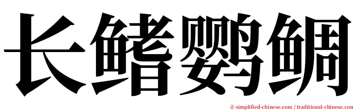 长鳍鹦鲷 serif font