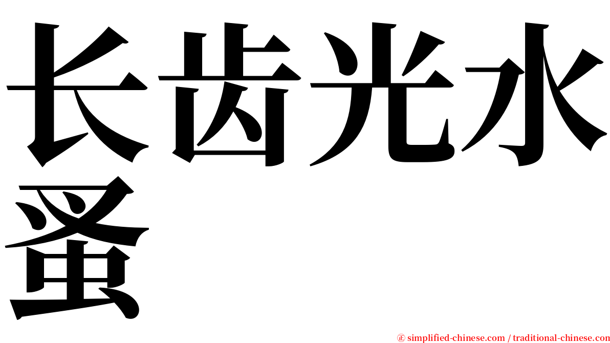 长齿光水蚤 serif font