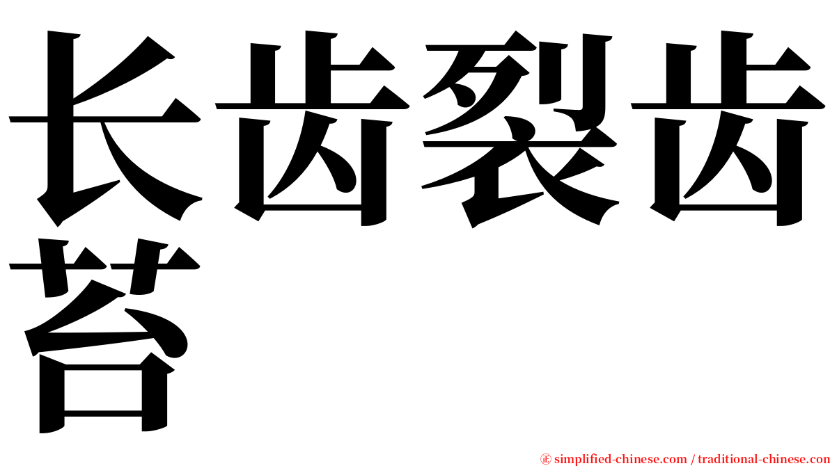 长齿裂齿苔 serif font