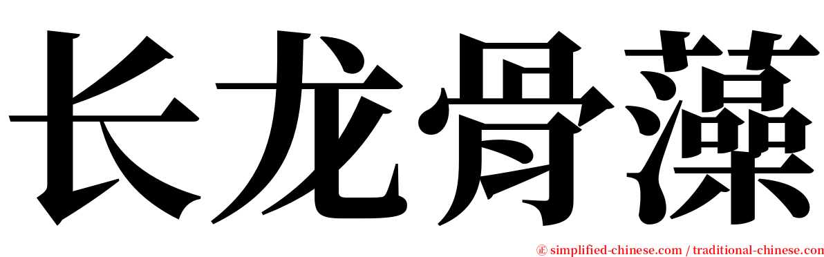 长龙骨藻 serif font