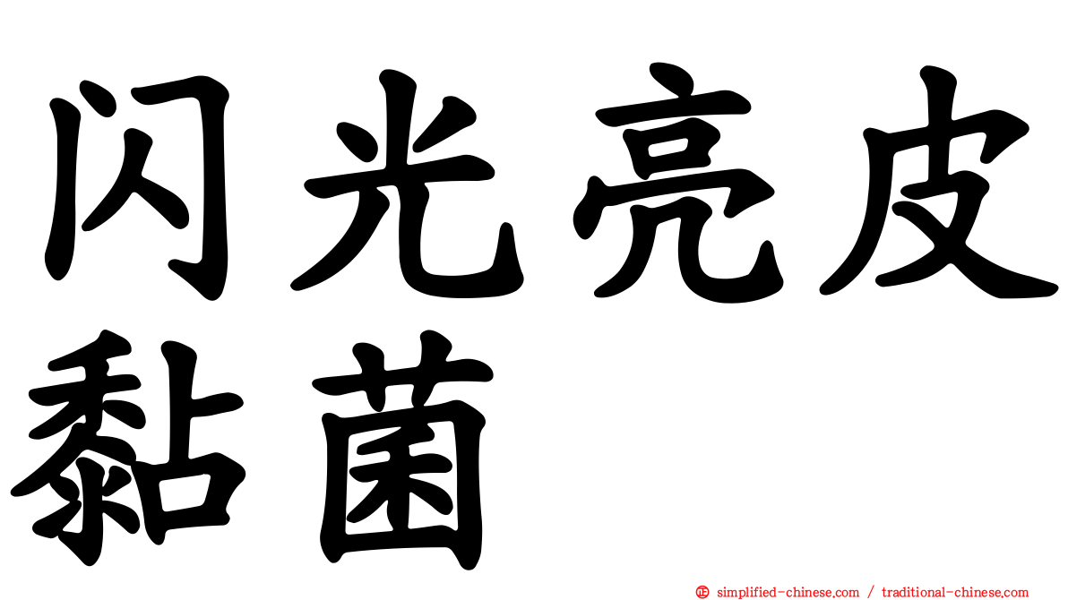闪光亮皮黏菌