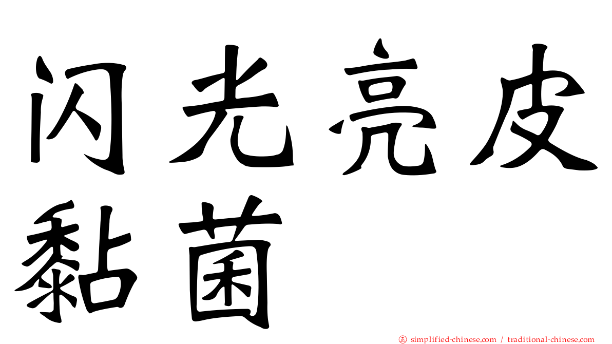 闪光亮皮黏菌