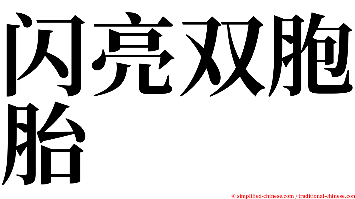 闪亮双胞胎 serif font