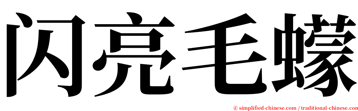 闪亮毛蠓 serif font