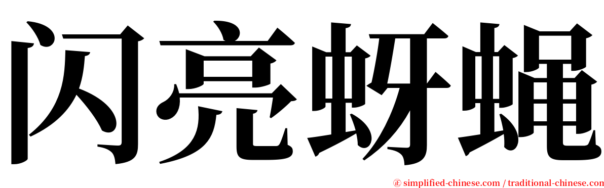 闪亮蚜蝇 serif font