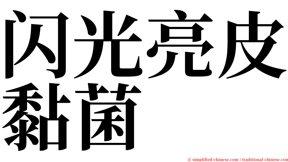 闪光亮皮黏菌 serif font